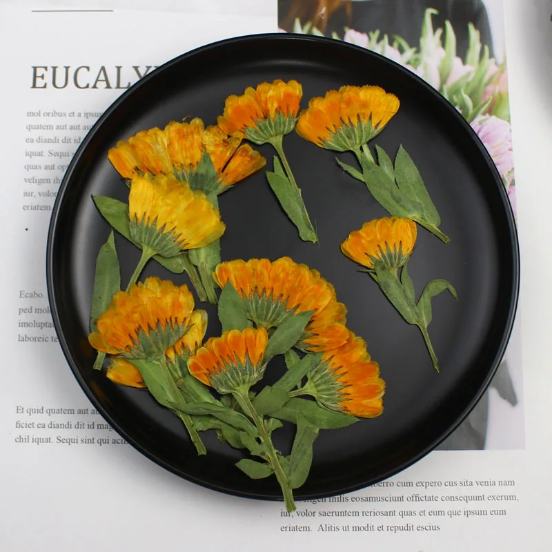 60pcs 4-6cm Side Pressed Dried - Dried Flower Bookmark review and price