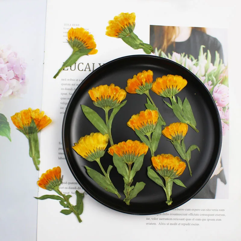 60pcs 4-6cm Side Pressed Dried - Dried Flower Bookmark review and price
