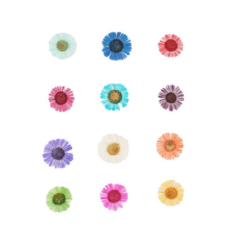 1 Set Pressed Dried Flower Eri - Dried Flower Bookmark review and price