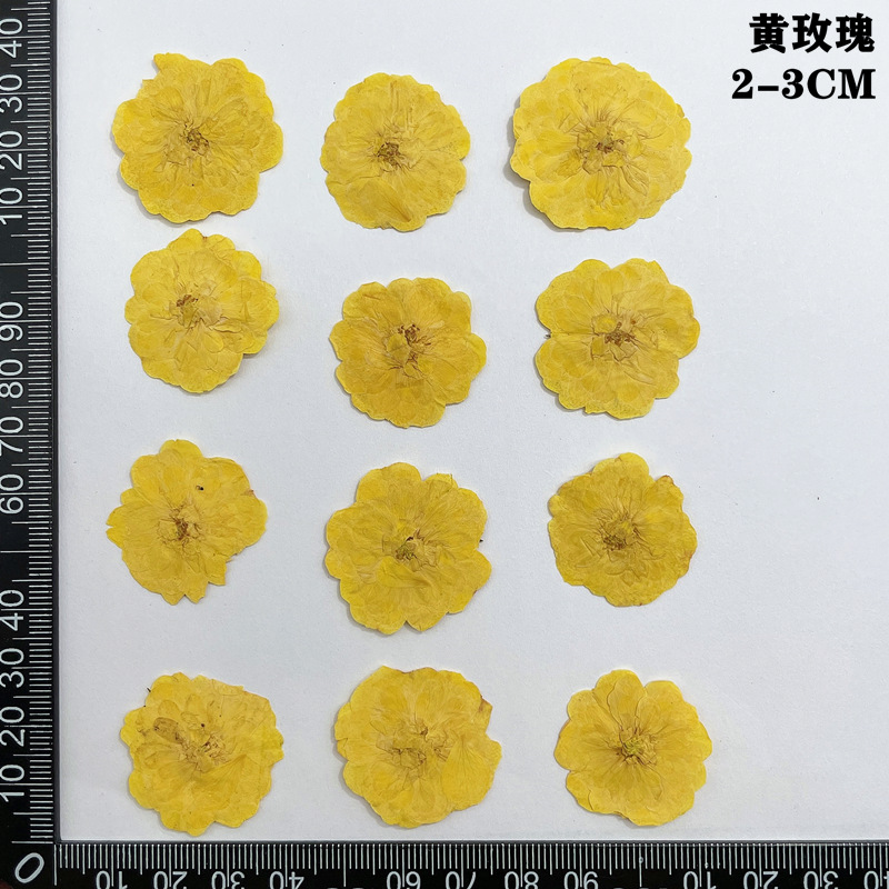 60pcs Pressed Dried Red Yellow - Dried Flower Bookmark review and price