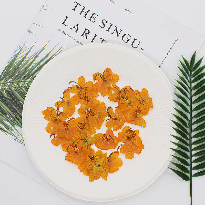 60pcs Dried Pressed Yellow/Ora - Dried Flower Bookmark review and price