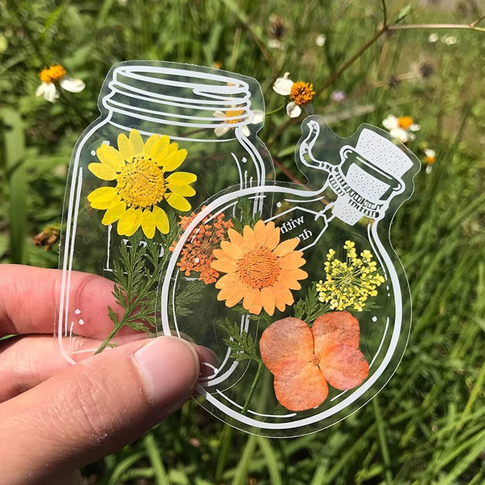 30Pcs Transparent Dried Flower - Dried Flower Bookmark review and price