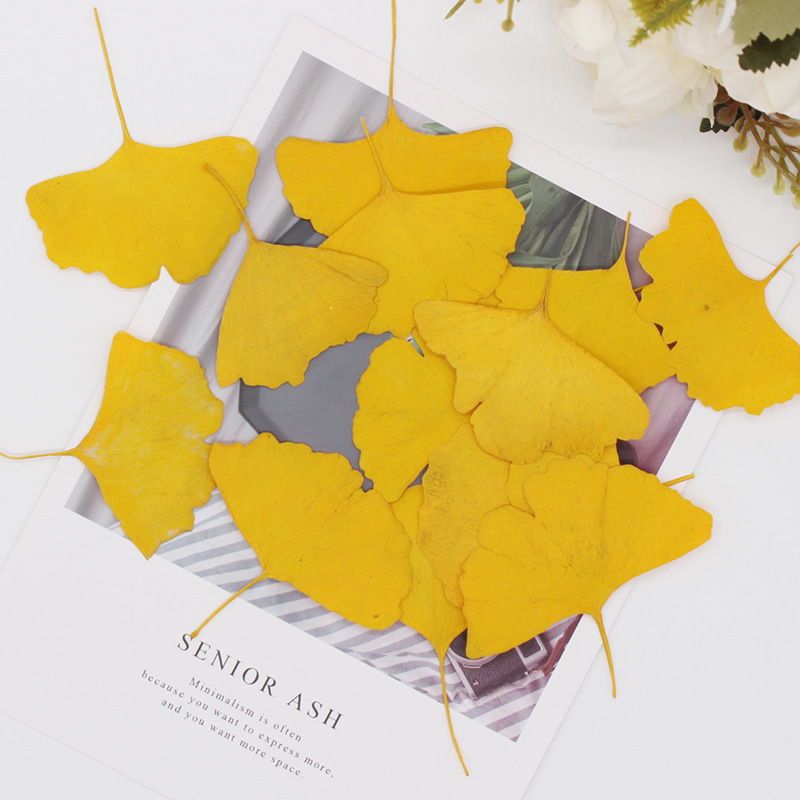 60pcs Pressed Dried Yellow/Gre - Dried Flower Bookmark review and price